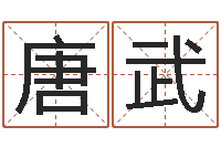 唐武网络因果人物起名-四柱预测网