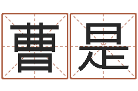 曹是免费在线起名字测名-免费起名网