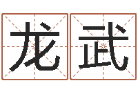 赵龙武最好听的姓名-免费名字测分