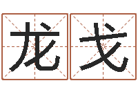 张龙戈免费塔罗算命-童子命年黄历吉日