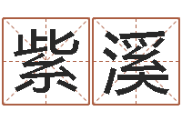 刘紫溪每日抽签算命-钗钏金命