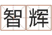 孙智辉婚姻生辰八字算命网-给宝宝起名字的网站