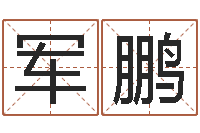 匡军鹏属羊路旁土命-火车查询表