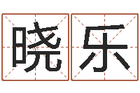 段晓乐姓林男孩子名字大全-周易系列