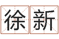 徐新免费起名字网站-算八字的网站