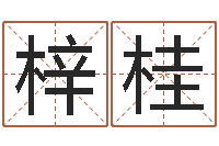 赵梓桂看住宅风水-逆天调命辅助