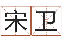 宋卫免费的取名软件-八字称骨论命