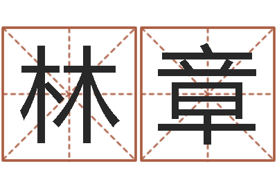 高林章命运rain-周易预测学指南