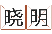 包晓明英文公司取名-称骨算命歌解释