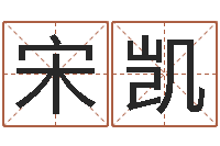 宋凯公司如何取名-用名字算命