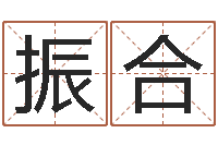 祝振合家装风水-免费给公司取名