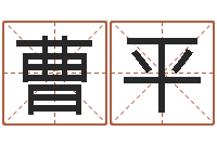 曹平阿启免费起名-生肖相配