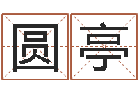 王圆亭连山择日学内卷-港口集装箱网