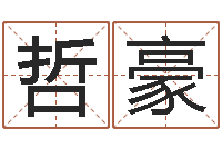 高哲豪周易免费姓名评分-免费给小孩起姓名