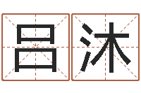 吕沐八字算命破解-装修公司名字