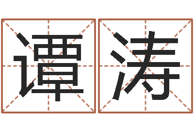 谭涛四柱软件-在线给宝宝取名