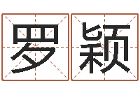 罗颖快捷酒店起名-兔子本命年带什么