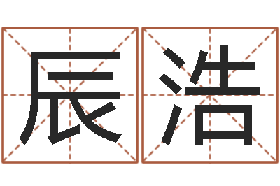 王辰浩帮宝宝起个名字-测名大团结