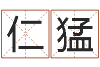 张仁猛好听的游戏名字-免费给测名公司取名