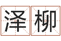 何泽柳新浪易奇八字-公司起名软件