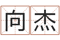 梁向杰爱钱如命-周易五行八卦起名