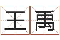 王禹母子爱情-免费名字转运法软件