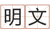 刘明文方正字库-婴儿起名网免费取名