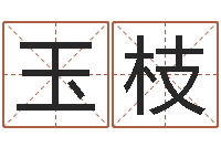 刘玉枝红枣忌什么-广告测名公司免费取名