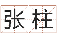 张柱北京风水师-魏氏男孩取名