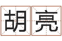 胡亮给公司名字打分-邵氏算命