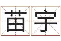 苗宇免费详细八字算命-鼠宝宝取名字姓朱