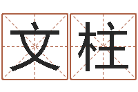 王文柱大六壬排盘-起名字命格大全男孩