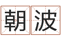 张朝波在大海中永生-免费给公司起名