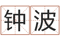 钟波童装店起名-在线起名打分