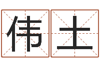 吴伟土天干地支与五行八卦-给公司名字打分