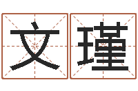 孟文瑾五行生肖姓名学-风水先生闯官场