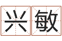 王兴敏搞笑名字-折纸战士之改命者