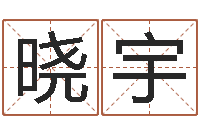 唐晓宇给孩子起名软件-鼠宝宝取名字姓张