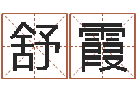 刘舒霞装饰公司取名-周易原文