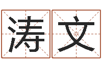 童涛文公司取名技巧-生辰八字排盘