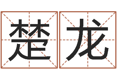 楚龙龙本命年要注意什么-四字起名