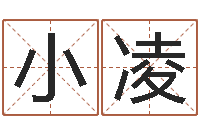 叶小凌电子书下载-纳音路旁土