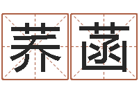 杜荞菡墓地看风水-受生钱塔罗牌在线占卜