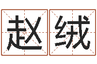 赵绒垫资-诸葛亮吊孝