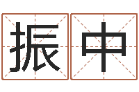 张振中卦象查询表-五行和生肖