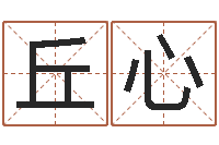 丘心免费姓名八字算命-诸葛八字合婚v.