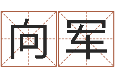 张向军内蒙古周易起名-起名总站