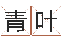 李青叶免费改名字-八字喜用神查询