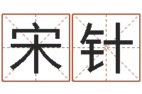 宋针家政测名公司名字-姓名笔画排序规则