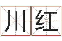 张川红书法家-公司好名字大全